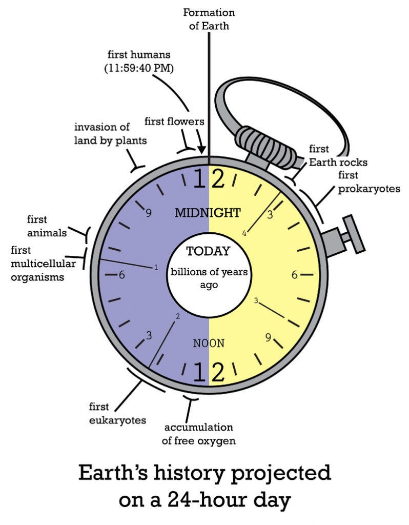 module-10a-biol-110-notes